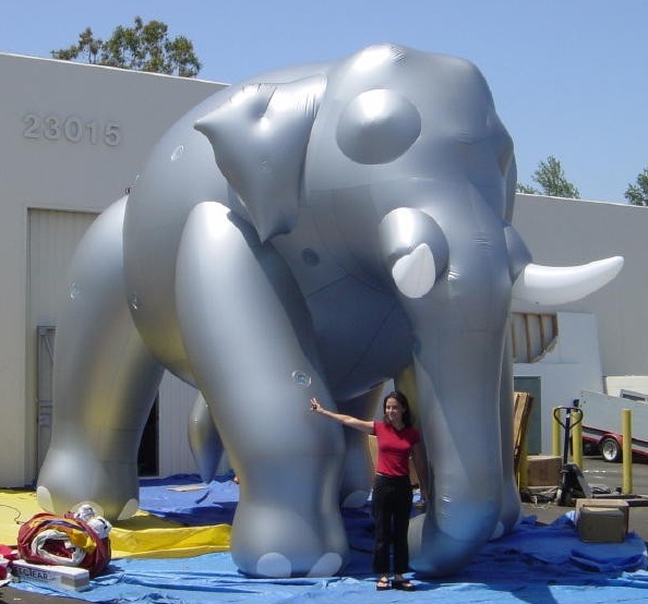 Silver Custom Inflatable